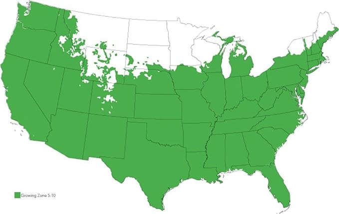 PERFECT PLANTS Drift Rose Live Plant, 1 Gallon, Coral Colored Petals and Green Stem