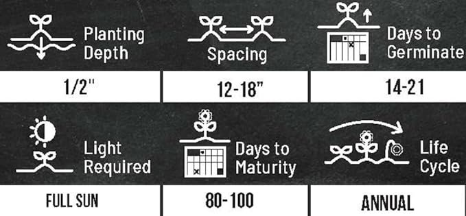 Mammoth Sunflower Seeds for Planting - Grow Giant Sun Flowers in Your Garden - 50 Non GMO Heirloom Seeds - Full Planting Instructions for Easy Grow - Great Gardening Gifts (5 Packets)