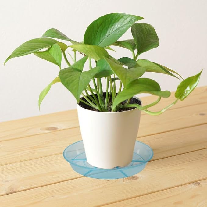 6 Pack Plant Saucer Drip Tray 7 8 inch, Plant Drainage Trays, Heavy Sturdy Plastic Planter Flower Pot Saucers for Indoor Outdoor Garden, Plant Water Drip Trays for pots (8", Blue)