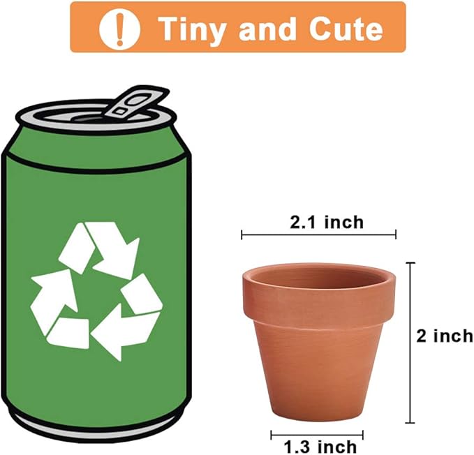 Riseuvo 32pcs 2" Small Mini Terracotta & Clay Pot Planter - Cactus Flower Nursery Terra Cotta Pots with Drainage, Perfect for Indoor/Outdoor Plants, Crafts