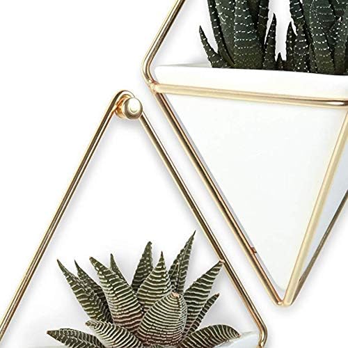 Umbra Trigg Hanging Planter Vase Wall Decor, Set of 2 Pots Containers for Succulents, Cactus, Faux Plants, and More, Small, White/Brass