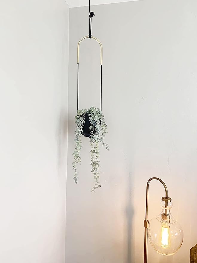 Metal Hanging Planter for Indoor Outdoor Plants Wall and Ceiling Hanging Flower Pot Plant Holder for Succulent Vines Ferns, Height Adjustable Modern Minimalist Room Decor(Black)