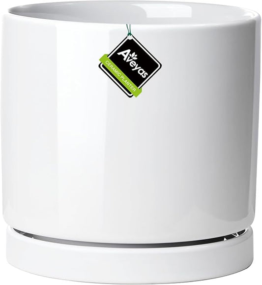 Aveyas 6 inch Ceramic Plant Pot with Drainage Hole and Saucer - Suitable for Indoor and Outdoor Use, Modern Planters for House Garden Orchid Flower Snake Monstera Plants (6", Glossy White)