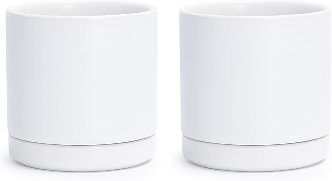 D'vine Dev Set of 2 Plants Pots, 3.5 Inch Ceramic Planter Pot for Plants with Drainage Hole and Saucer, White, 94-V-A-1
