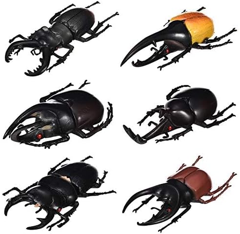 Hiawbon 5.5 inch Fake Beetle Simulated Beetle Model Realistic Plastic Beetle Figures for Fairy Garden Decoration, Set of 6
