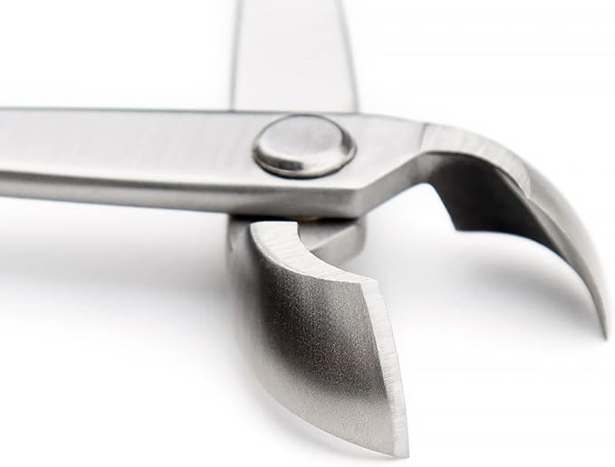 180MM Bonsai Round Edge Cutter Professional Grade Branch Cutter Alloy Steel Bonsai Tools Equip With Tool Bag (MTS-13)