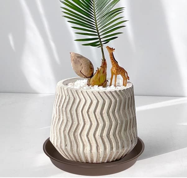 6 Pack Plant Saucer Tray, 4 5 6 8 10 12 13 15 17 19 inch Plant Saucers, Heavy Duty Plastic Plant Drip Trays for Indoors, Flower Plant Water Tray, Plant Trays for Pots Base (6 inch, Chocolate)