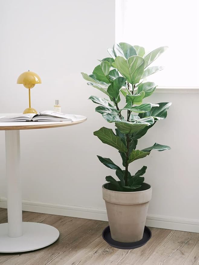 6 Pack 10 inch Plant Saucer, Heavy Duty Plastic Plant Saucers 10 inch Round, Durable Plant Tray for Pots, Flower Saucers for Indoors, Plant Pot Saucers, Trays for Planter 8"/9"/10" (Black)