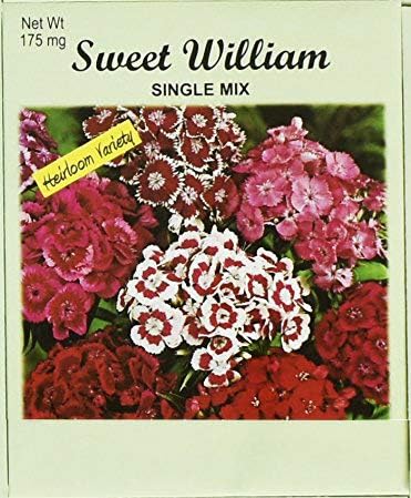 Set of 100 Flower Seed Packets! Flower Seeds in Bulk (100, Sweet William)