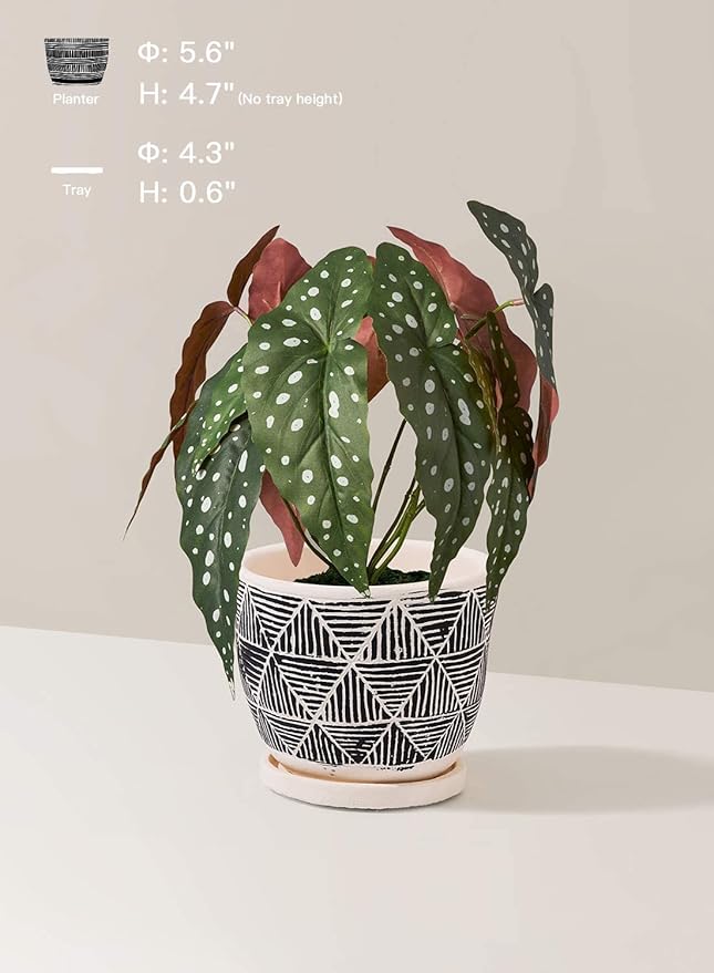 LE TAUCI 5.5 Inch Boho Plant Pots Indoor, Artisanal Cement Pots for Indoor Plants, Succulent Pots with Drainage Holes and Saucers, Planters for Indoor Plants, Set of 2, Black and Cream White