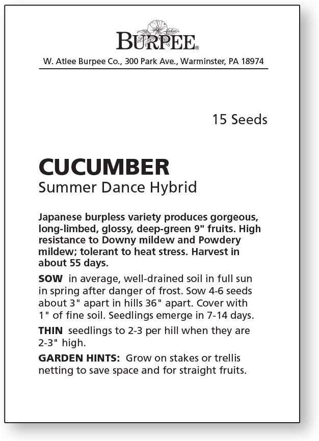 Burpee 'Summer Dance' Cucumber Seeds, 15 Non-GMO seeds