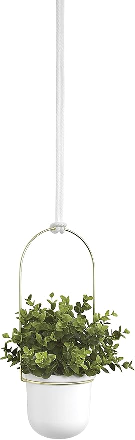 Umbra Triflora Hanging Planter for Window, Indoor Herb Garden, Set of 3, White/Brass