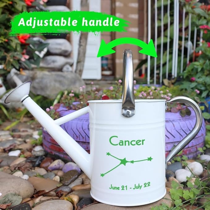Metal Watering Can for Outdoor and Indoor Plants, Watering Can Decor, 1 Gallon (Cancer)
