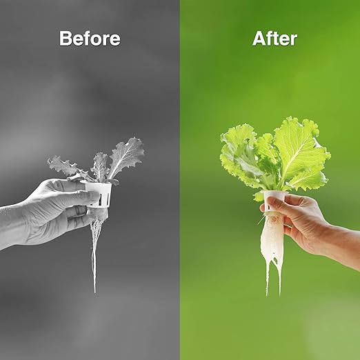 Hydroponic Nutrient Plant Food Supplies - Suitable for Both Hydroponics Growing System and Soil Planting, Compatible with All Indoor Herb Garden Plants Accessories