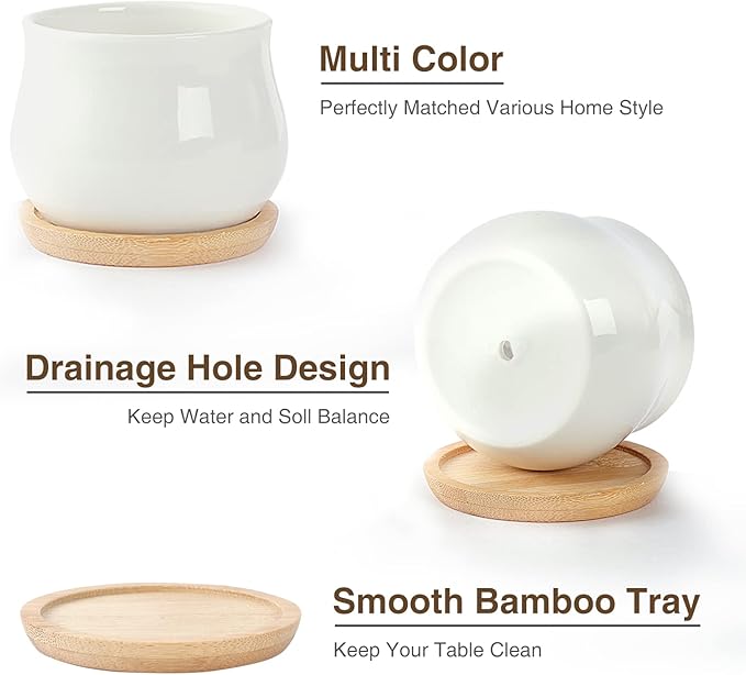 12 Pack Succulent Plant Pot, Mini 2.6 inch Ceramic Flower Planter Pot with Bamboo Tray, Small Pots for Plants, Plants Not Included （White, Black）