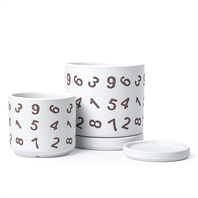 D'vine Dev Set of 2 Ceramic Planter Pots with Drainage Hole and Saucer, 4.5 Inch 6 Inch Plant Pots for Plants Indoor Houseplants, White, 99-B-1