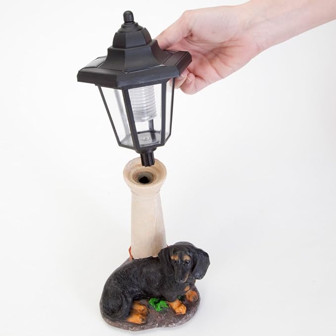 Bits and Pieces - Solar Dog Lantern-Solar Powered Garden Lantern - Resin Dog Sculpture with LED Light (Dachshund)