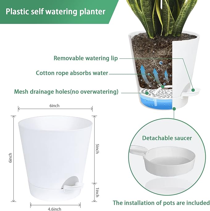 Wall Planters for Indoor Plants 3 Pack 6 Inch Flower Pot Holders Metal Ring with Self Watering Pots Wall Hanging Planters Gold-White