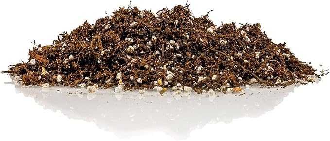 Fern + Perlite Soil Mix for Repotting and Planting Succulents and Cactuses - 4 Quart Bag
