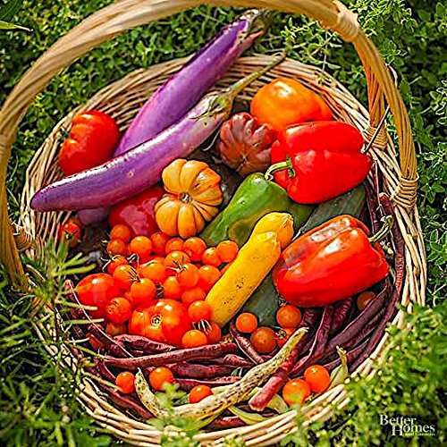 Nelson - All Vegetable Garden Plant Food, Granular Fertilizer, Multi-Purpose High Calcium Phosphorus Micronutrients in Ground, Gardens, Containers, & Greenhouses, NutriStar 12-14-11 (25 lb.)