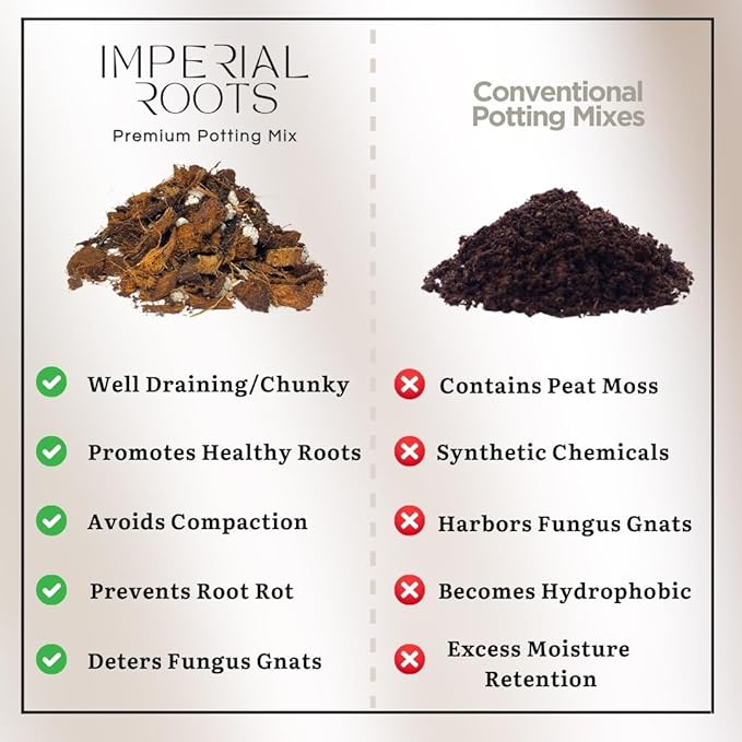 Chunky Potting Mix for Indoor and Tropical Plants (Soilless) Premium & Well Draining Blend for Healthy Houseplants Contains Coco Coir & Husks, Biochar, Worm Cast, Mycorrhizae, Pumice & Calcined Clay