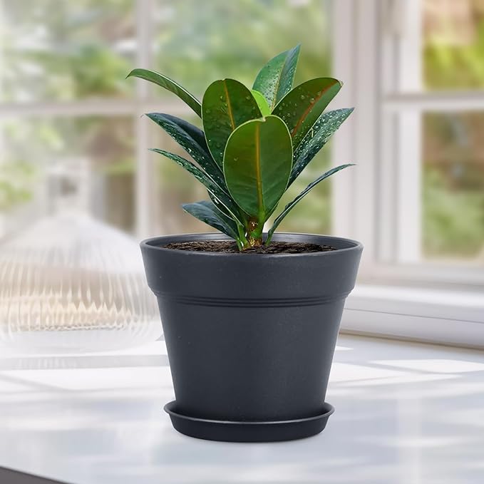 6 inch Nursery Pots, Seedling Pots, 16 Pack Plant Pots for Indoor Outdoor Plants, Flower Pots with Drainage Holes and Saucers, Decorative Plastic Planters for Home Small Plants, Black