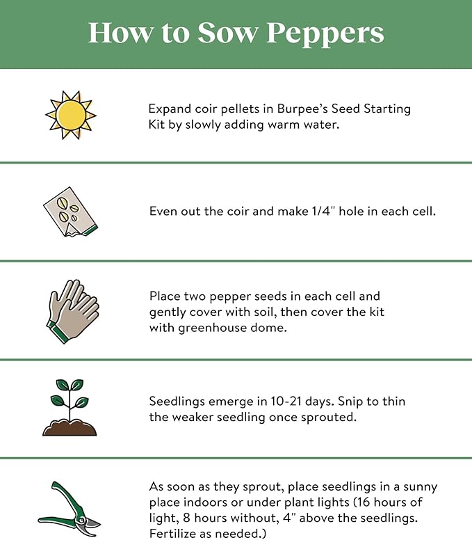 Burpee Great Stuff Sweet Pepper Seeds 40 seeds