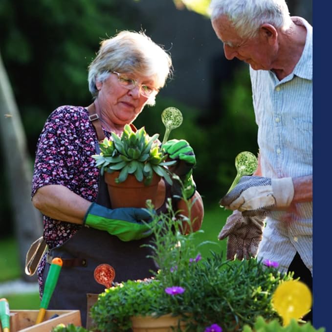 6 Small Plant Watering Globes - Plant Watering Devices - Plant Watering Bulbs - Self Watering Spikes - Hand Blown Glass - Self Watering Planter Insert - Free Moisture Meter - by Cotswold Homeware