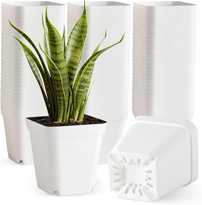 80 Pcs Nursery Pots 4 Inch, Plastic Seed Starting Pot with Drainage Holes, Small Sturdy Seedling pots for Planting, Succulents, Transplanting, Cuttings (White)