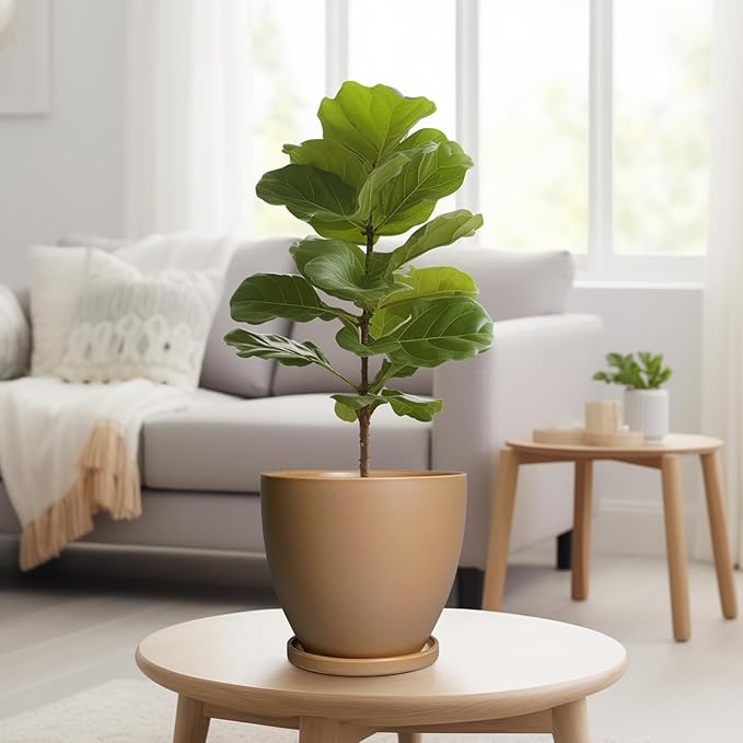 Ceramic Pots for Plants - 8 Inch Planter, Indoor Plant Pot with Drainage Hole and Saucers, Modern Flower Planter, Home Garden Patio Bathroom Porch Room Decor, Brown