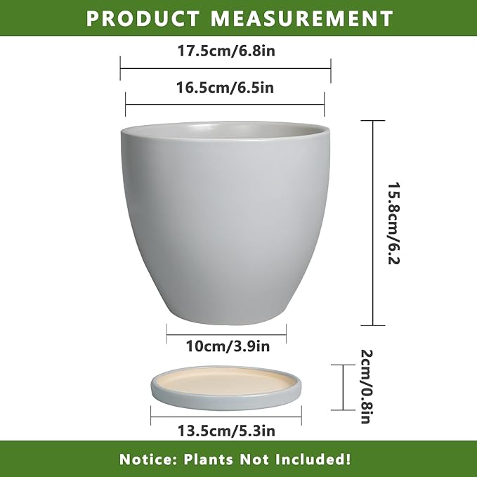 6 Inch Planter - Ceraimc Pots for Indoor Outdoor Plants Round Planters Modern Flower Pot with Drainage and Tray Home Garden Decor Brown