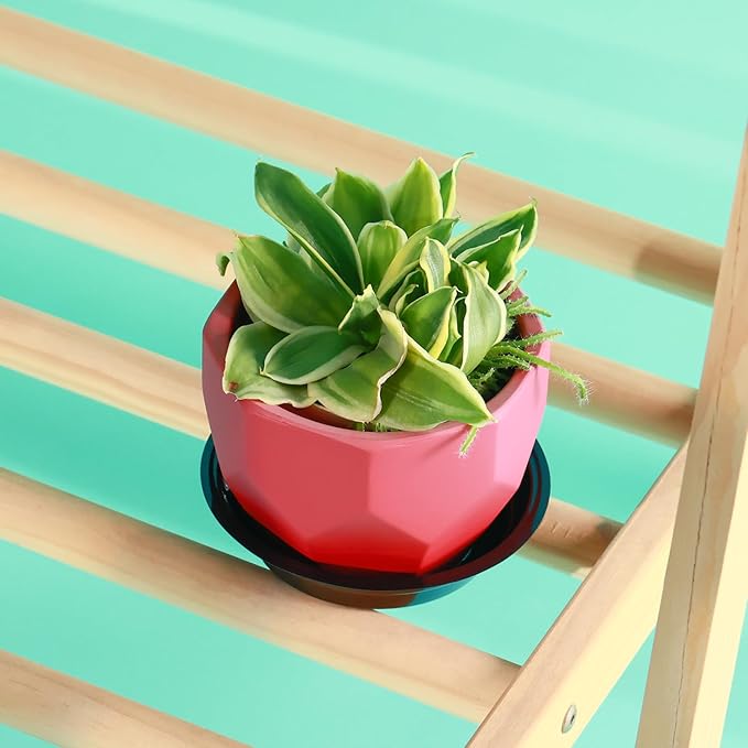 20 Pack 10 Inch Plant Saucer, Black Plant Saucers for Indoors Outdoor, Large Plastic Plant Saucer for Plant Pots Plant Water Catcher Tray, Flower Pot Saucers Bulk Plant Drip Trays for Potted Plants