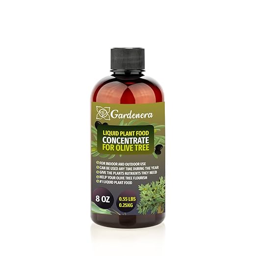 Plant Growth Superfood for Olive Trees with 18 Essential Vitamins & Minerals - Organic Plant Food Fertilizer - Micro-Fungi and Bio-Organisms for Olive Tree Care & Growth Enhancement - 8oz