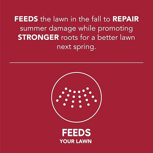 Scotts Turf Builder WinterGuard Fall Lawn Food - Fall Fertilizer for Strong Grass Roots, 5,000 sq. ft, 12.5 lbs. (2-Pack)