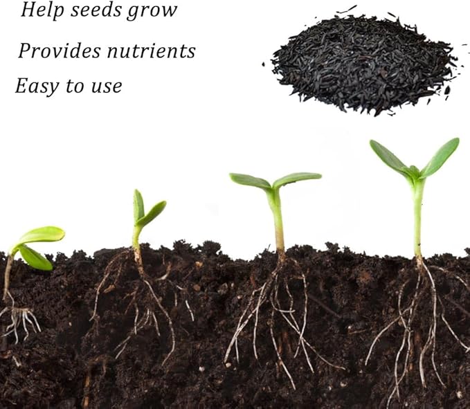 Horticultural Charcoal, Rice Husk Natural Activated Charcoal for Plants Indoor Biochar Soil Amendment Organic for Terrariums - 1.1 lbs