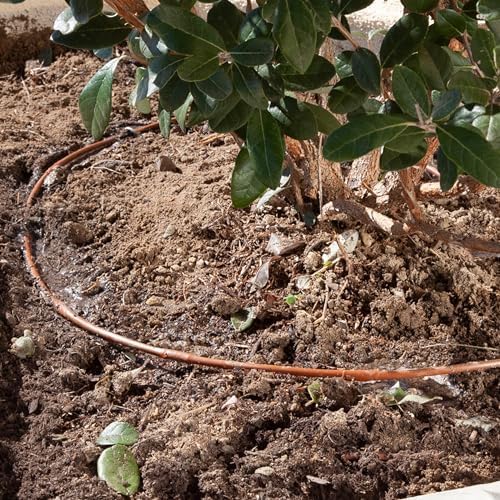 DIG ML-109B ¼” 100’ MICROLINE™ Dripline, 9” Dual Outlet Emitter Spacing, UV-Resistant Tubing for Efficient Irrigation | Ideal for Raised Beds, Gardens | Flexible, Durable, Easy Installation (Brown)