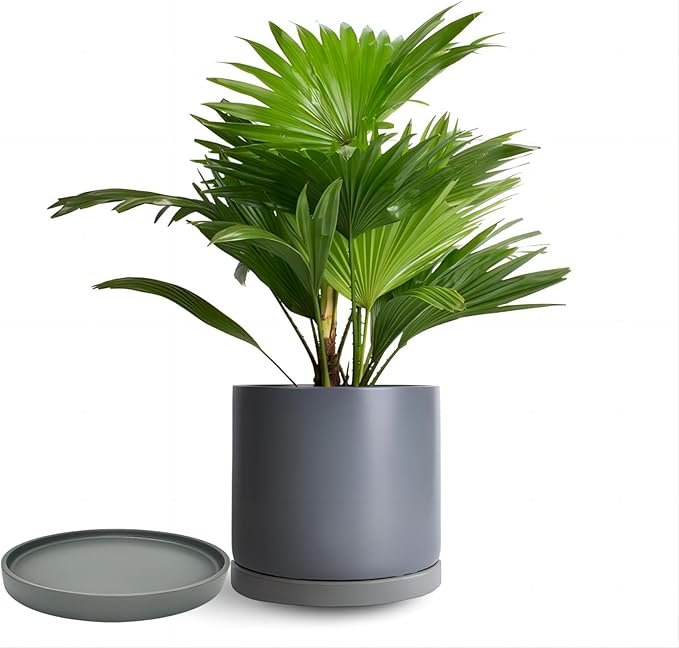 4 Pack Ceramic Plant Saucer Pot Tray 4 Inch, Planter Saucers 4 5 6 7 8 9 10 11 12 13 Inch for Indoors Outdoor, Durable Sturdy Flower Drainage drip Water Tray for Glazed Pots Base (4.7 Inch-Grey)