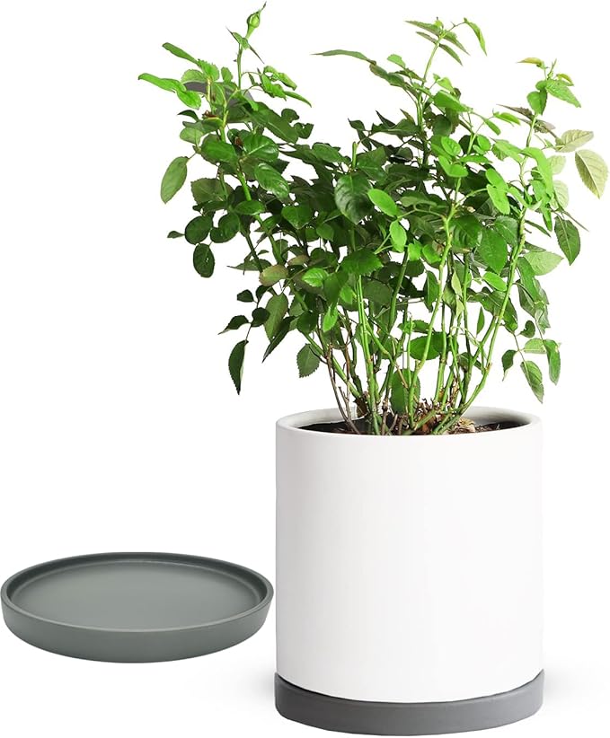 Ceramic Plant Saucer Pot Tray 10 Inch, Planter Saucers 4 5 6 7 8 9 10 11 12 13 Inch for Indoors Outdoor, Durable Sturdy Flower Drainage drip Water Tray for Glazed Pots Base (10.7 Inch-Grey)