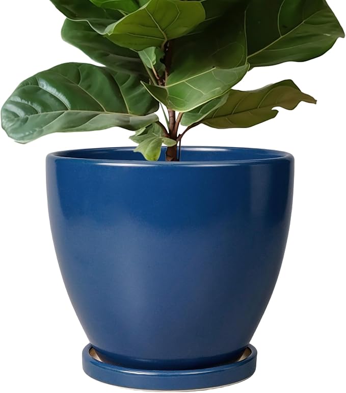 10 Inch Plant Pot - Ceramic Planter with Drainage Hole and Saucer, Modern Flower Pot, Round Planters for Indoor Plants, Home Patio Bathroom Porch Garden Living Room Decor, Blue