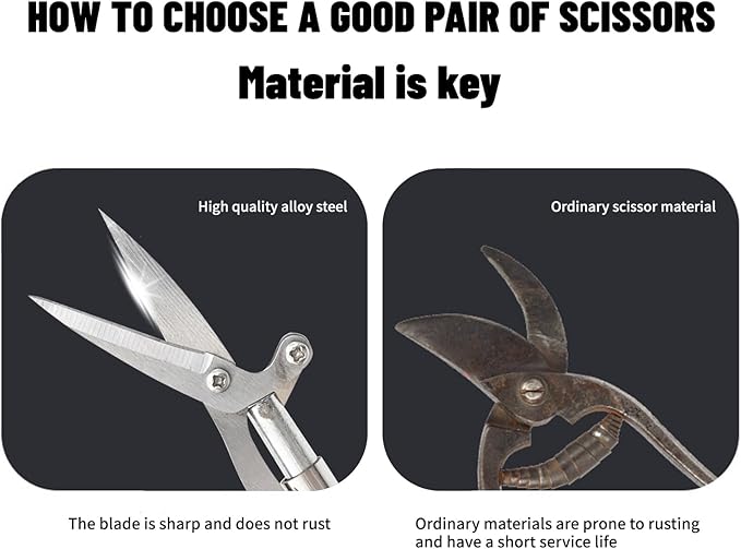 Pointed Stainless Steel Gardening Shears, Hand Pruners, Garden Clippers Handheld, Floristry Scissors, Picking Pepper Wolfberry Fruit (Blue)