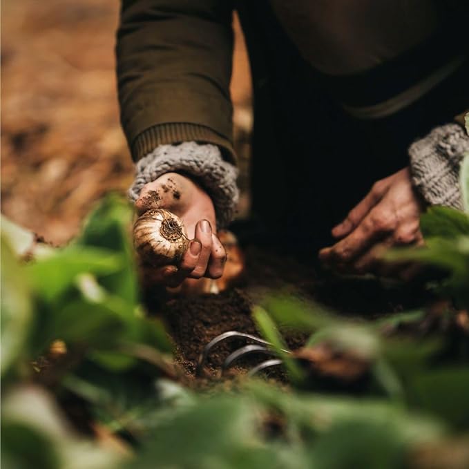 Fiskars Xact Hand Rake, Heavy Duty Gardening Hand Tool with Ergonomic Handle and Hanging Hole for Storage, Stainless Steel Head and Tines, Perfect for Maintaining a Raised Garden Bed