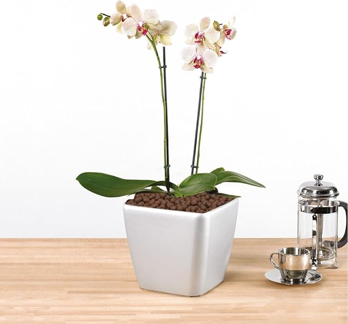 5 lbs LECA Balls for Indoor Plants, 4-16mm Clay Pebbles for Plants Hydroponic, Aquaponics, Natural Leca Balls for Soil Root Development, Orchid Potting Mix