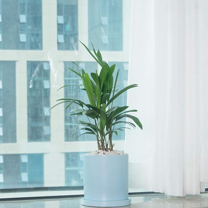 Planters for Indoor Plants Ceramic Flower Succulent Plant Pots with Drain Hole Saucer Decor for Home Office (6 inch Blue)