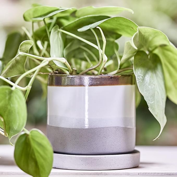 CHIVE ‘Minute’ Ceramic Planter Pot — Cute 5” Colorful Succulent Pots for Indoor & Outdoor House Plants — Beautiful Modern Farmhouse Kitchen Decor — Mocha Cement