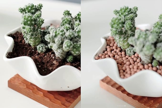 HOT SEAL 5.9 LB Clay Pebbles, 1/8'' Gardening Ceramsites Growing Media for Succulents Orchids, Aquaponics, Aquaculture Hydroponics. Ceramsite Clay Rocks Decor Cultivation, Leca for Plants