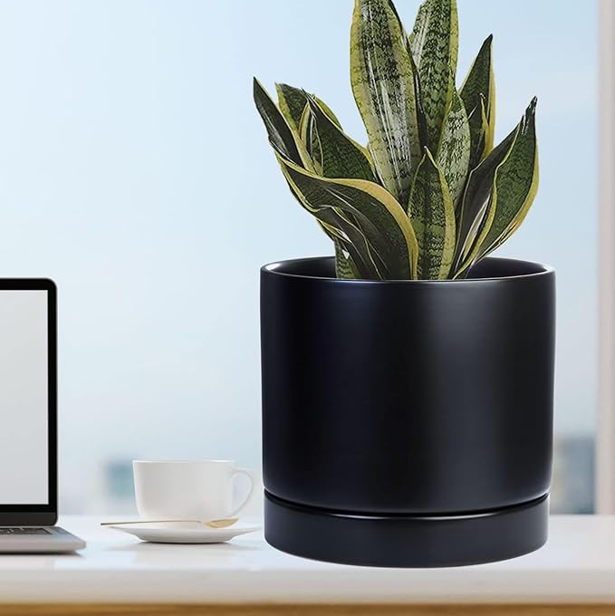 Ceramic Plant Saucer Pot Tray 12 Inch, Planter Saucers 4 5 6 7 8 9 10 11 12 Inch for Indoors Outdoor, Durable Sturdy Flower Drainage Tray for Glazed Pots Base (12.5 Inch-Black)