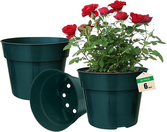 50 Pack 6 Inch Nursery Pots, Planting Grow Plastic Flower Pots, Thick Planters with Drainage Holes for Outdoor/Indoor Plants Succulent Herb (Green)