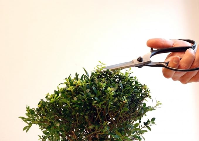 200 Okatsune Plant Shears, A-Shaped, Long, 35.4 inches (90 cm), Black