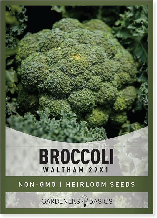 Gardeners Basics, Broccoli Seeds for Planting is A Great Heirloom, Non-GMO Vegetable Variety- 1 Gram Seeds Great for Outdoor Spring, Winter, and Fall Gardening