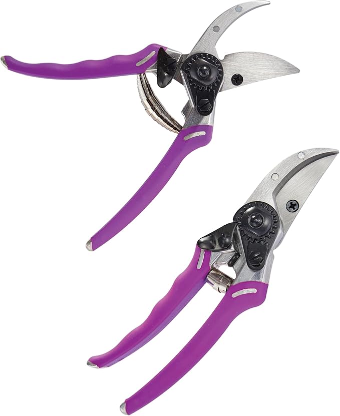 ColorPoint Bypass Pro Pruner